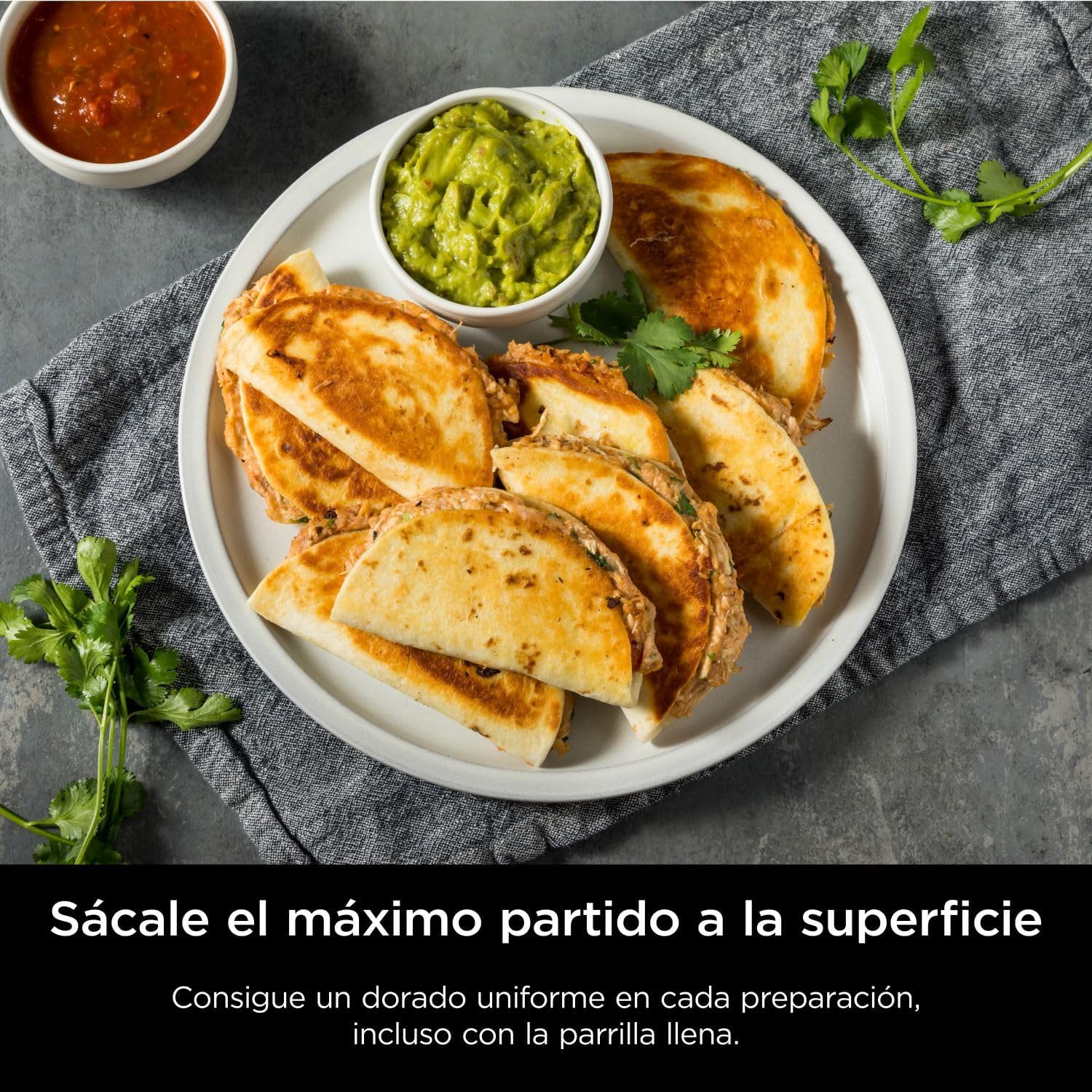 Ninja Sizzle Pro XL Indoor Grill und Bratplatte mit antihaftbeschichteter Keramik-Grill- und Bratplatte, abnehmbarem Deckel, Fettauffangschale und Rezeptheft, Silber/Schwarz GX101EU