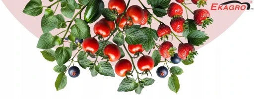 Bio-Gartenerde Kompost 1050L für Tomaten, Gemüse, Setzlinge PALETTE