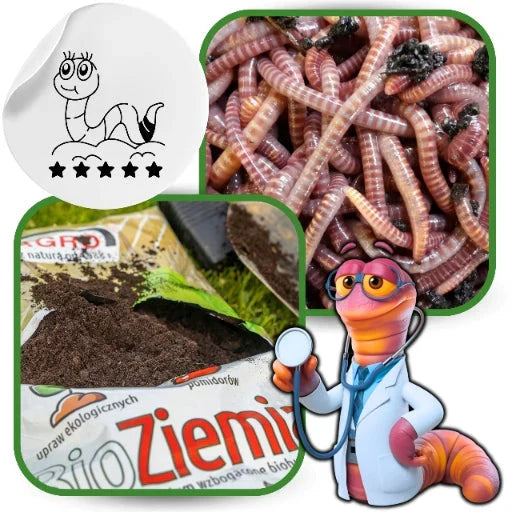 Bio-Gartenerde Kompost 1050L für Tomaten, Gemüse, Setzlinge PALETTE