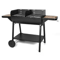 Barbacoa S50 Carrefour