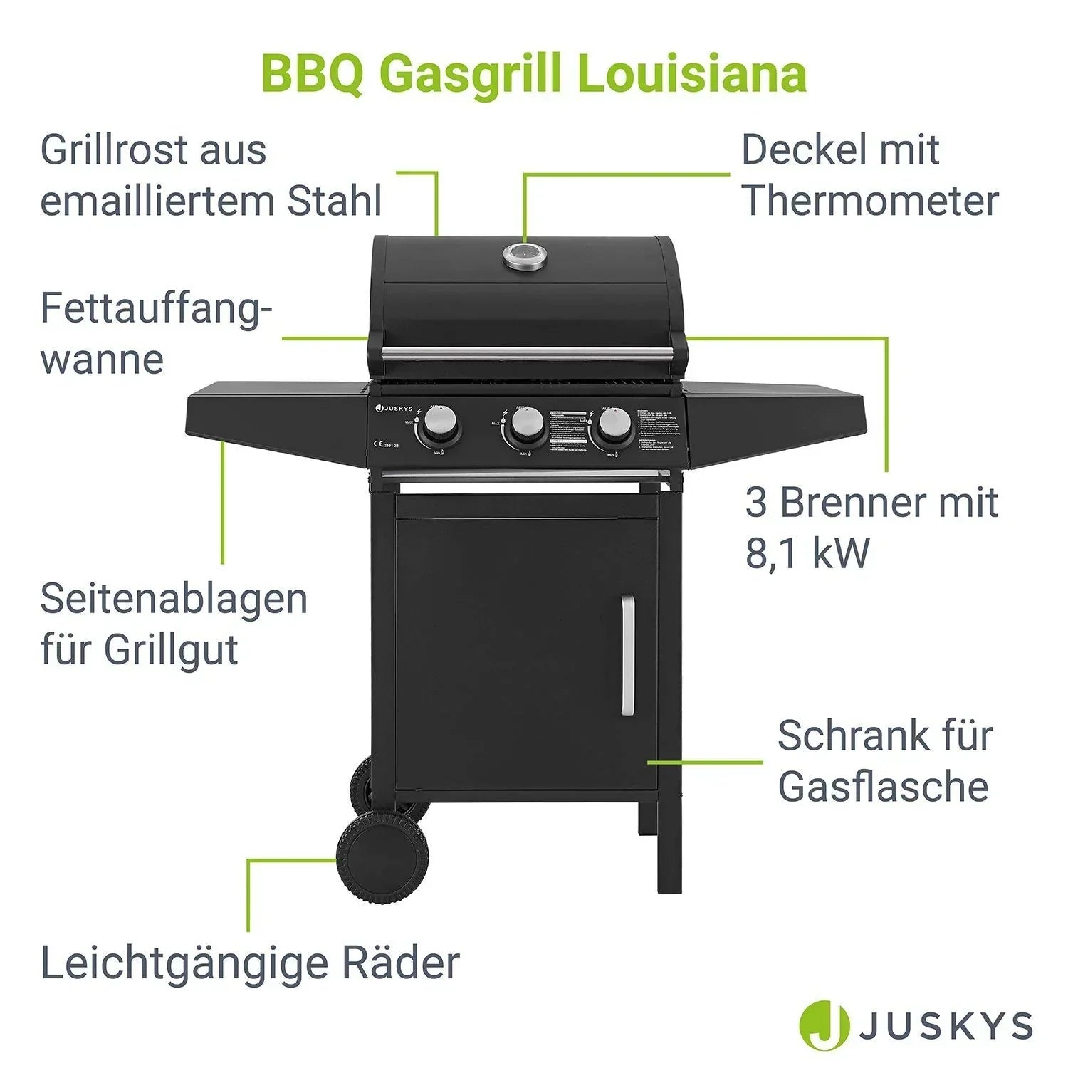 2026 Barbacoa de gas Louisiana