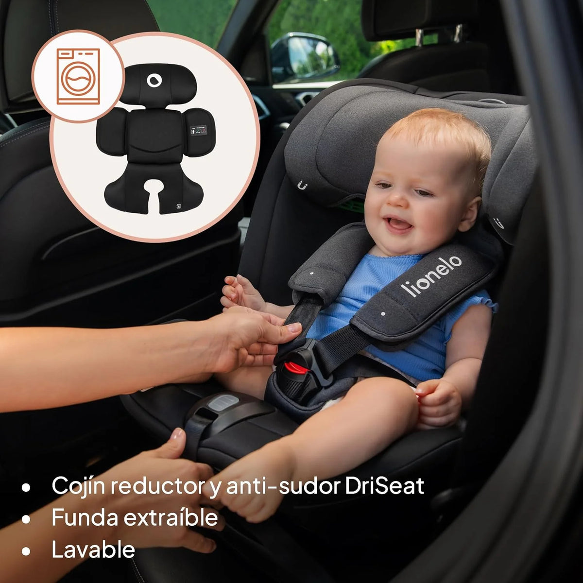 LIONELO Bastiaan RWF i-Size Silla de Coche para Bebé Giratoria 360° 0-36kg, Instalaciión Delantera y Trasera (18kg), ISOFIX TopTether, Reposacabezas y Respaldo Ajustables Protección Lateral