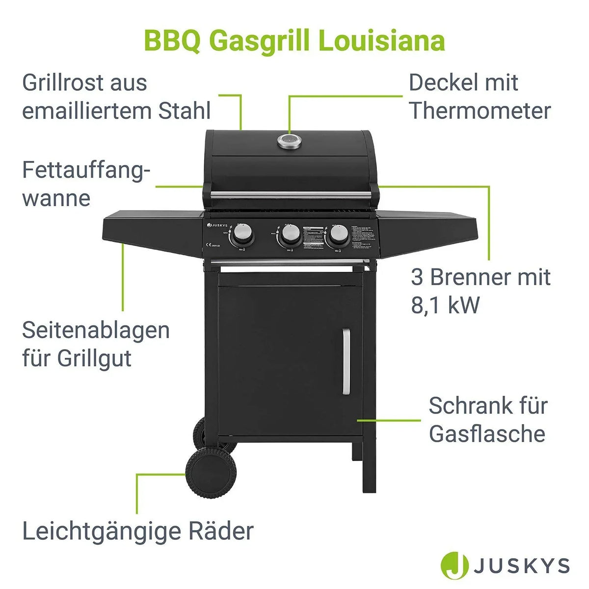 2026 Barbacoa de gas Louisiana