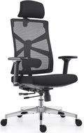 HOLLUDLE Ergonomischer Bürostuhl mit adaptiver Rückenlehne, hoher Schreibtischstuhl mit 4D-Armlehnen, verstellbarer Sitztiefe, Lordosenstütze und 2D-Kopfstütze