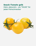 Pflanzensamen | Snack-Tomate gelb